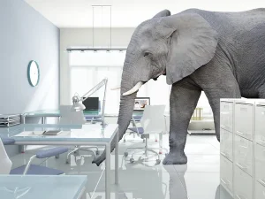 depositphotos 15816421 stock photo elephant in a room