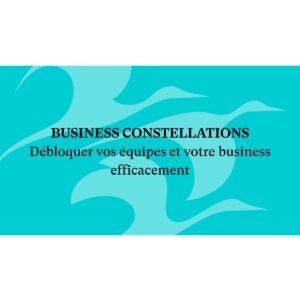 Business Constellations
