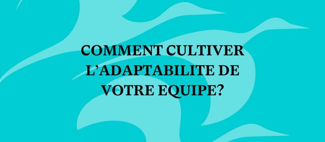 Adaptabilité de son équipe