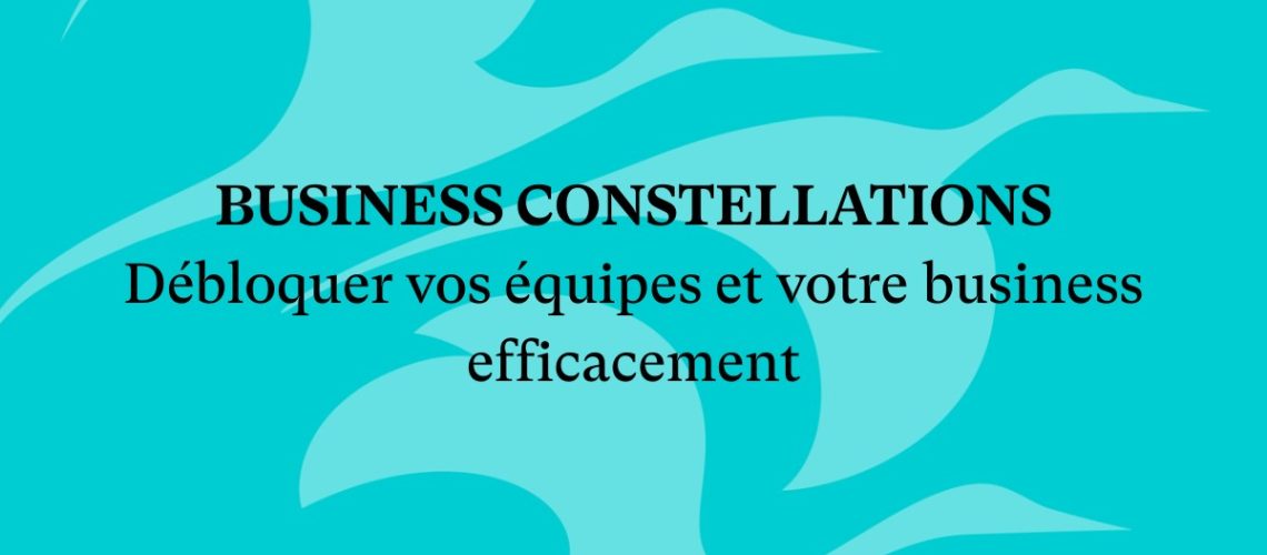 Business Constellations